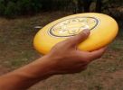 latający talerz - frisbee